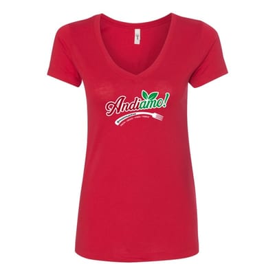 Women's Ideal V-Neck T-Shirt